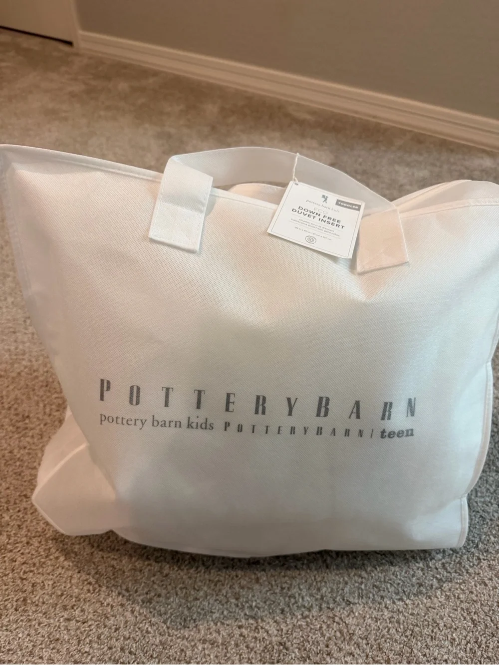 Pottery Barn Kids Eco Down Free Toddler Comforter Duvet Insert